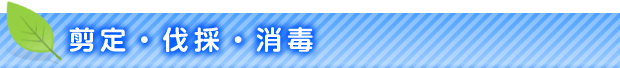 剪定・伐採・消毒